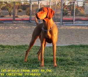 10346653_10204110436904253_8550454646562819357_n