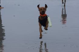 10485041_10204247825498882_6338857784937021409_n