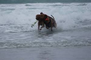 10489787_595352113896205_6781298497598666963_n