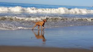 11144452_912542778843802_3778737249446060435_o