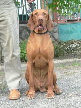 1146544_10201922256681115_1181419425_n