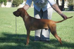 1377201_472847929479958_2094878137_n