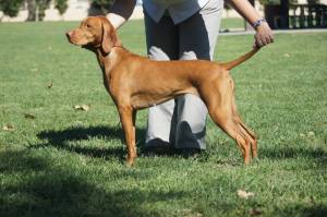 1385071_472836749481076_1171876642_n