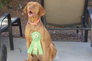 1401807_10202425114012234_49919407_o