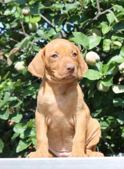 539077_10151060575380798_55531094_n