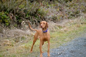 559965_10151305197531964_1292353610_n