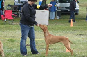 62886_10201098920938236_1729665165_n