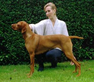 Ranscote_Russian_Roulette_at_Daxpack1