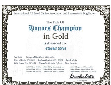 tashahonorschampiongold