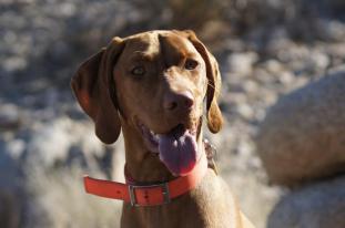 306596_4295998121240_112796950_n